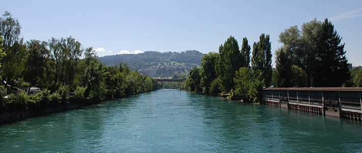 front view of a blue aare river with trees and mountains as the back drop