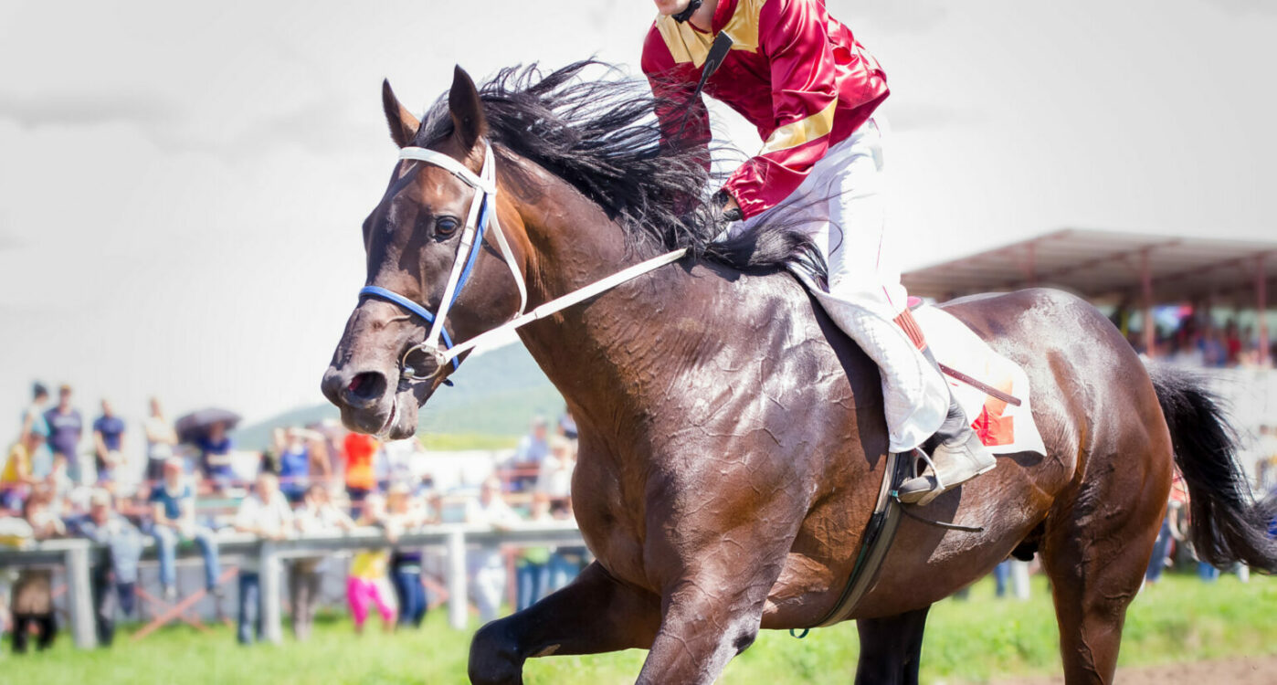 A jockey on a brown, shiny racehorse