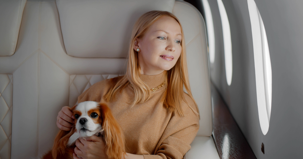 Safe and Comfortable Travel for Your Pets