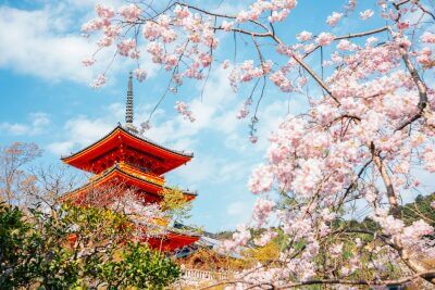 Kyoto scenery from private jet
