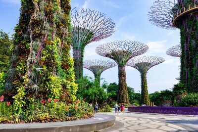 Exotic Singapore landscape