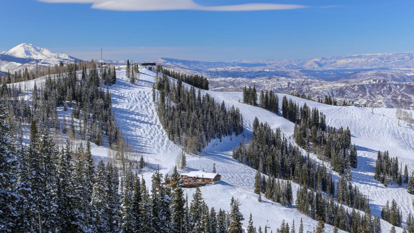 Aspen #2