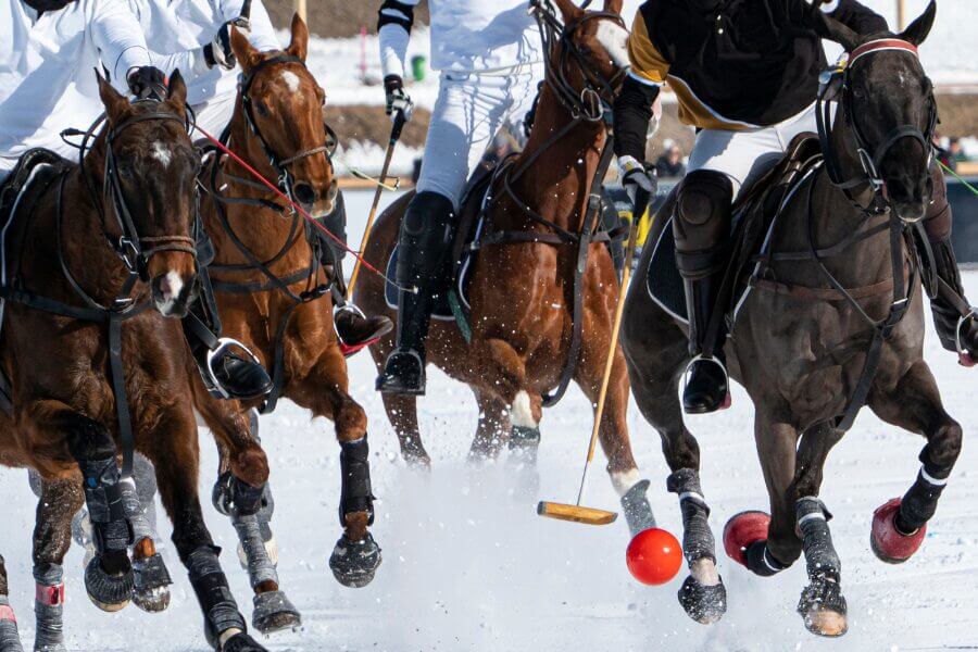 ski charter polo