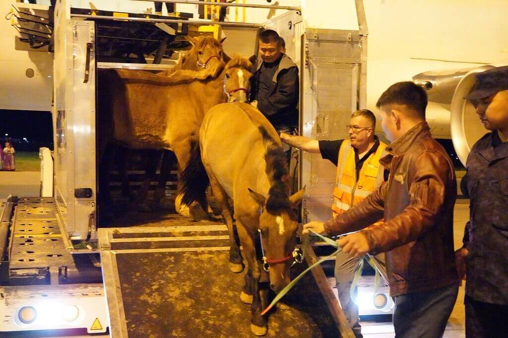 Monoglian horses on a plane